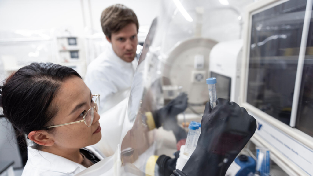 Scientists uncover microbiome signaling system that could open new paths for IBS-related constipation