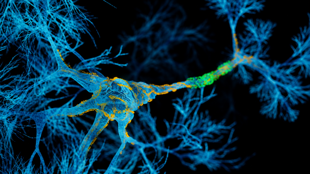 Mayo Clinic researchers report early results from therapy designed for a single patient with rare genetic form of ALS